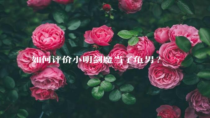 如何评价小明剑魔当了龟男?